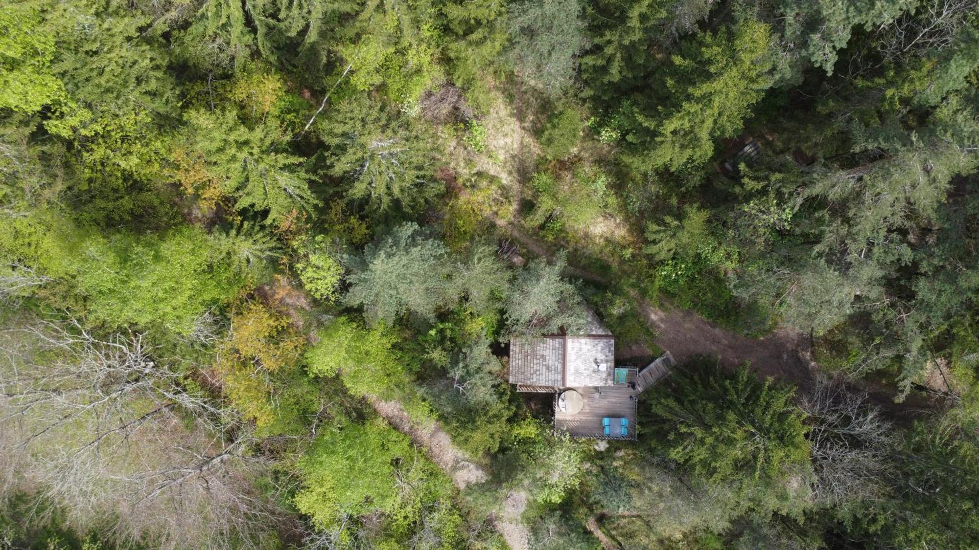 La-Haut Cabanes Perchees La Thuile Zewnętrze zdjęcie